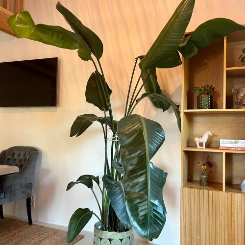 2ebaa60b-1b32-48b2-bf3e-2a8c3a249468