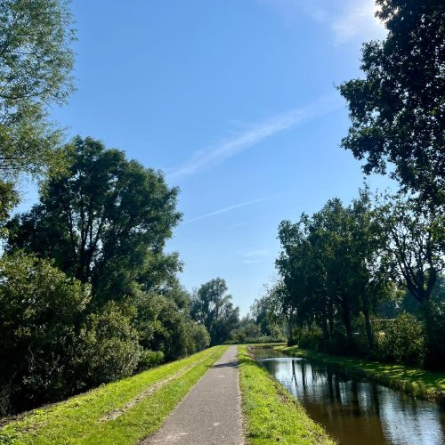 32262470-6e56-4c60-9ed5-0176840aa268