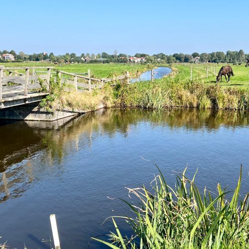 6675246d-61de-49ca-ac9c-7ece72680900