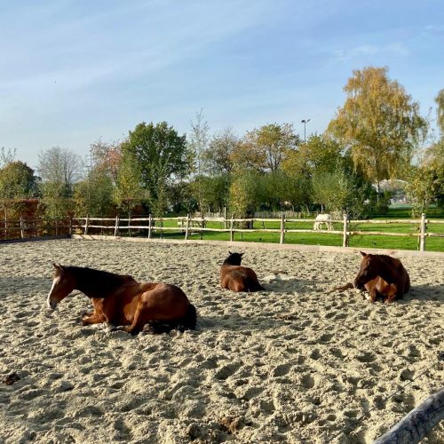 e616f352-80d7-4395-b1d7-c2d745dd2dd7