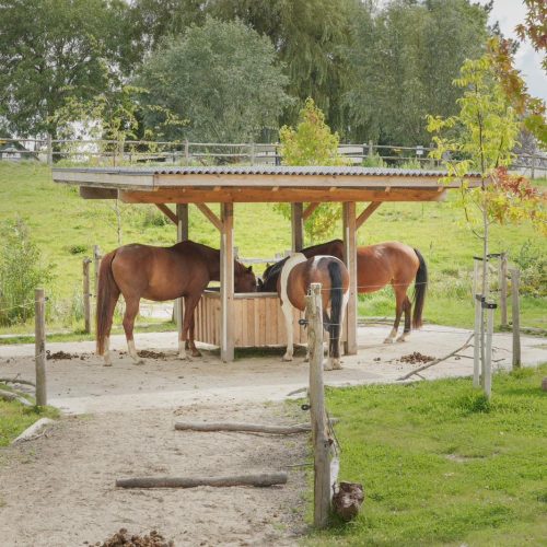 f6eb4277-6f07-4f61-8293-fe0620cbfd05